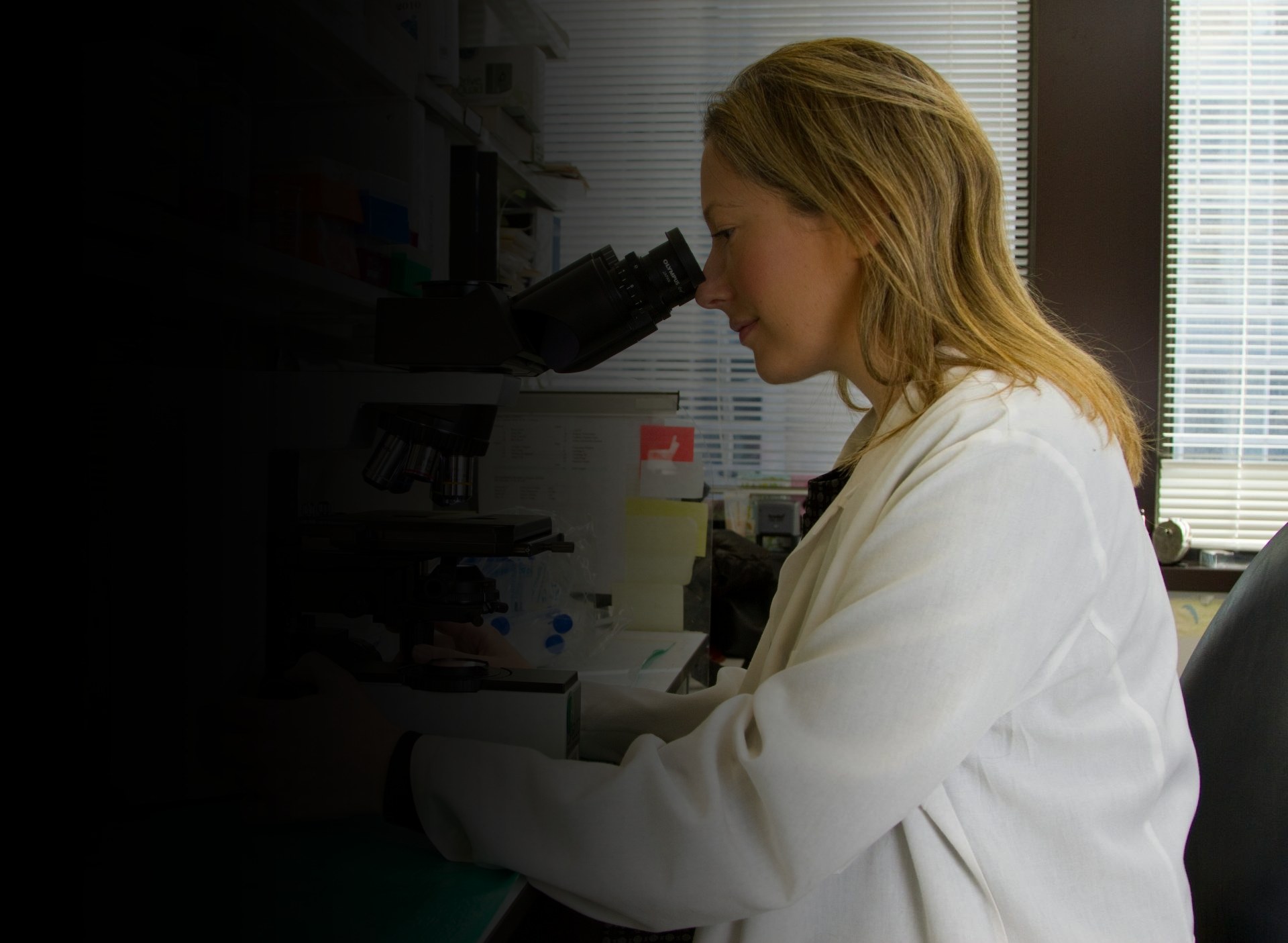 Scientifique observant au microscope